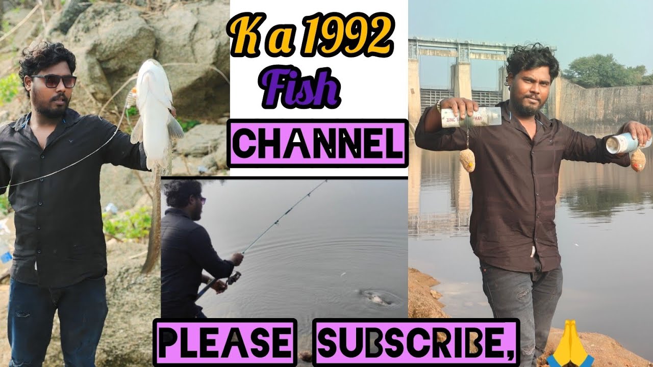 manjora dam feeder fishing, 🎣🎣🐟