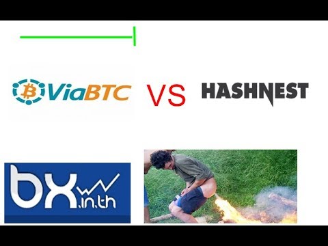 เว็ปขุด Bitcoin ViaBTC VS HashNest