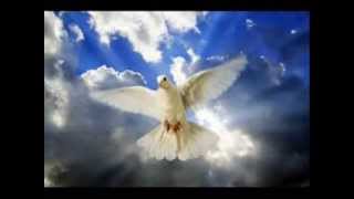 Savur Türkiye Halklarıyız