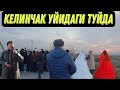 ЗАМОНАВИЙ СОВЧИЛАР /КЕЛИНЧАК ТАРАФДАГИ ТУЙ ЖАРАЁНИ(Охунов тв)