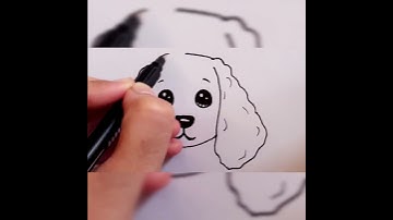 Cocker Spaniel Puppy 🐶😍#Bella