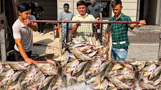 Fried fish I Tasty and eatabe I Rich in energy