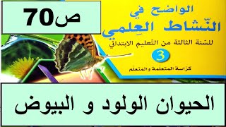 كيف يمكن تمييز الحيوان الولود عن البيوض؟ ص70 الواضح في النشاط العلمي  المستوى الثالث طبعة 2020