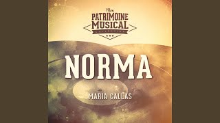 Norma : Act II - Finale - "Norma ! deh ! Norma scolpati !"