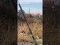 10/25/20: UP 7908, 9818, 6156, 8538, 8250, BNSF 6735, 5520, 7641, 4698 meet in West Colton, CA