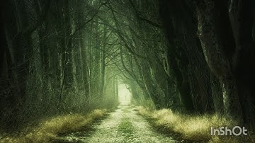 سورة القارعة عبد الباسط - Al-Qāri‘ah