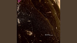 the surge is working (2025 remaster)