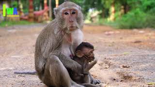 Wow!! Cute Mamo, he tries to run around his mother
