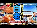 北海道白老町43歳ひとり旅。山・湖・海・川・温泉と観光資源が豊富すぎて移住を考えるレベルだった【ウポポイ・虎杖浜温泉・グルメ・旅行】