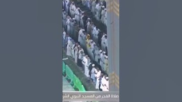 تلاوه جميله من سورة فصلت بصوت الشيخ عبدالله القرافي🌹 #اكسبلور #القرآن_الكريم