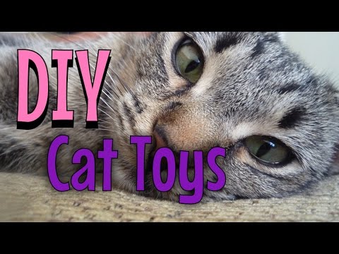 DIY Cat Toys