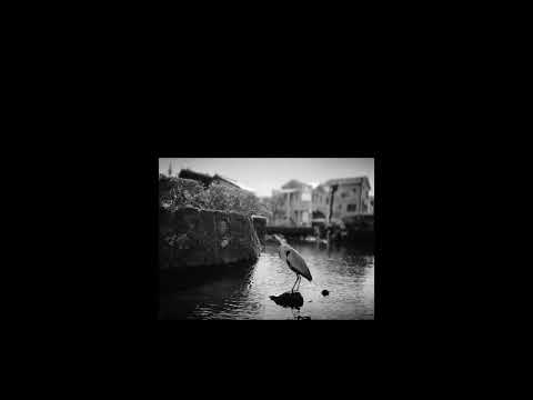 further platonic - YouTube