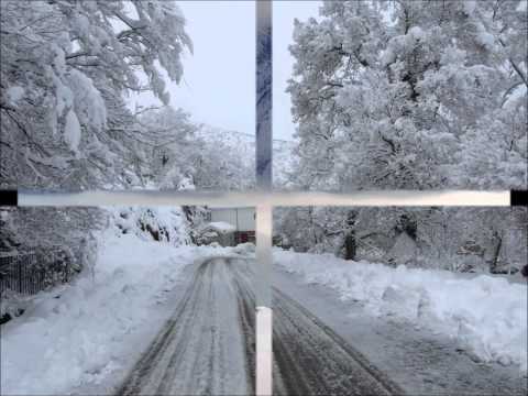 ჩემი სიმღერები