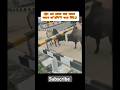 Don't disturb just concerns #viralvideo #foryou #viralshorts