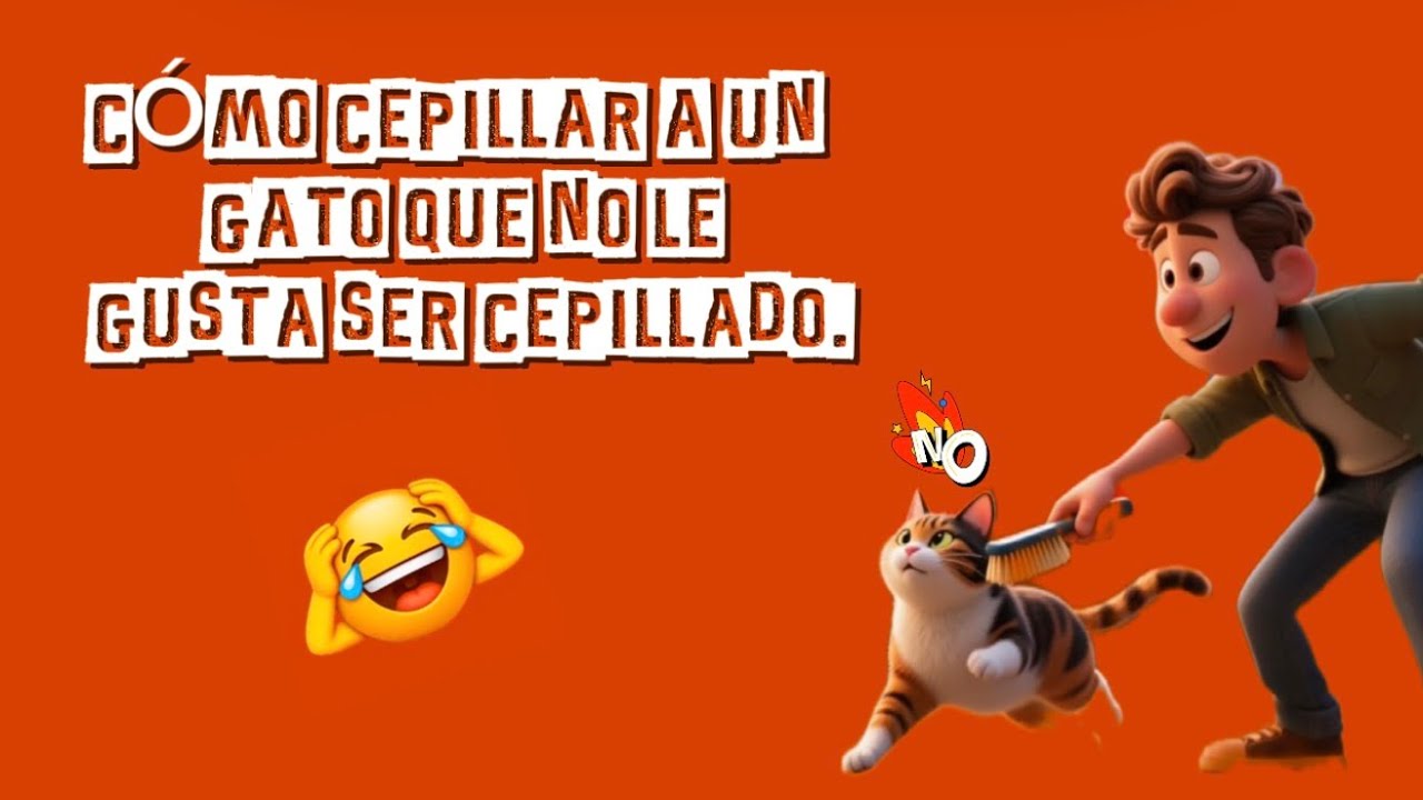 CÓmo Cepillar A Un Gato Que No Le Gusta Ser Cepillado Youtube 