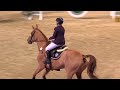 Jubilant Jess Hewitt in Unstoppable Form at the Equestrian.com Liverpool International Horse Show