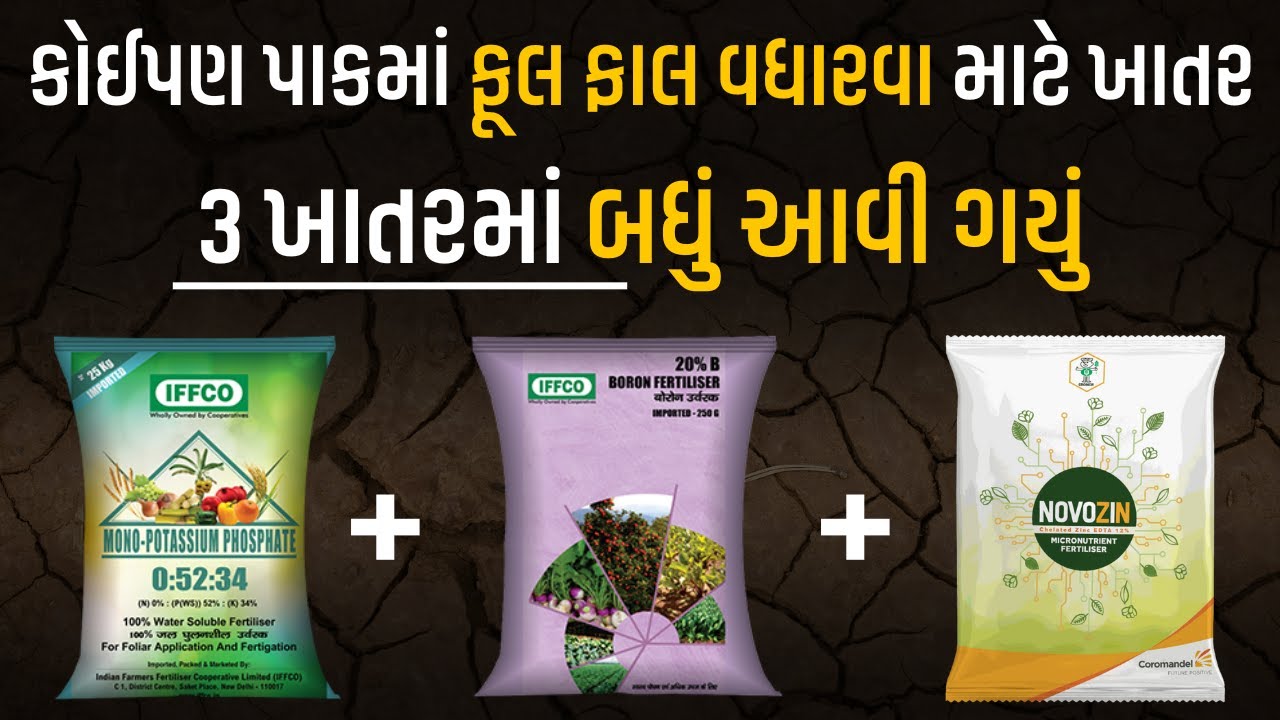 ફૂલ ફાલ માટે બેસ્ટ 3 ખાતરો । Best Flowering Fertilizer 