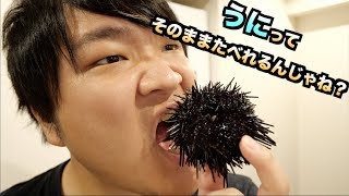 【検証】ウニってそのまま食べるとどうなるの？