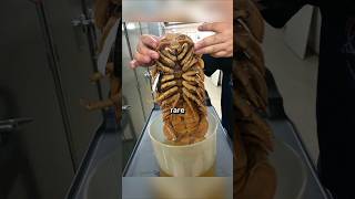 Rare Photos You've Never Seen Before [Part 74]