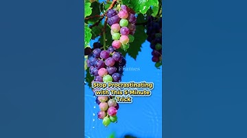 How to Beat Procrastination for Good #short #shorts #shortsfeed #motivation #selfimprovement #usa