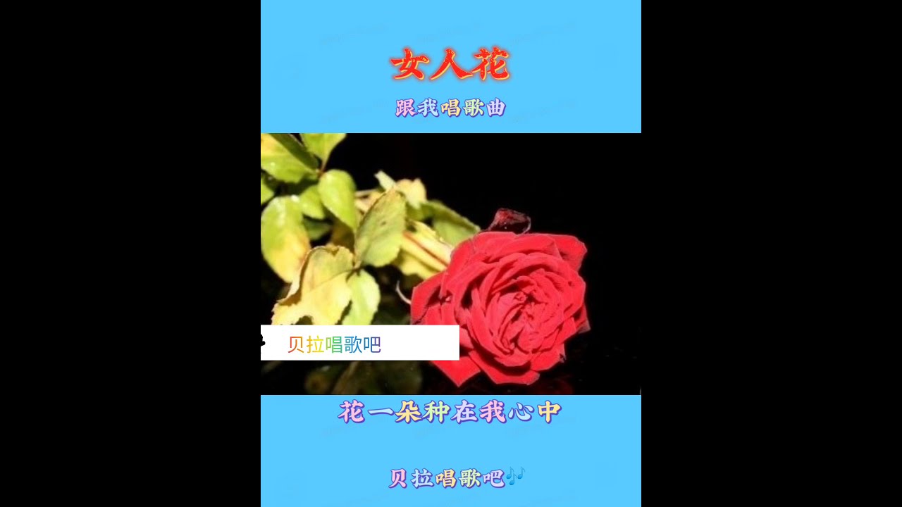 女人花歌词教唱b 整首 Youtube