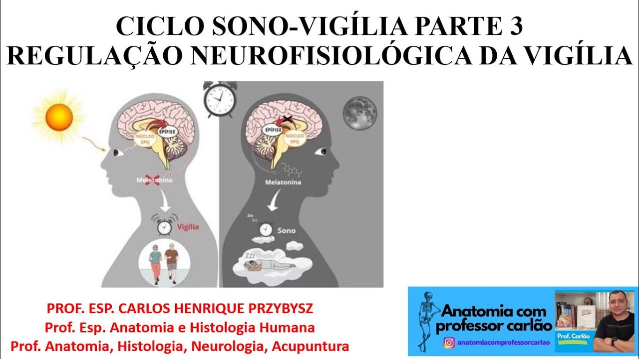 VÍDEO AULA CICLO SONO VIGÍLIA PARTE 3 - REGULAÇÃO NEUROFISIOLÓGICA DA ...