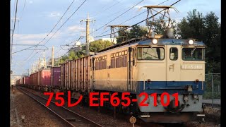 75レ   EF65-2101