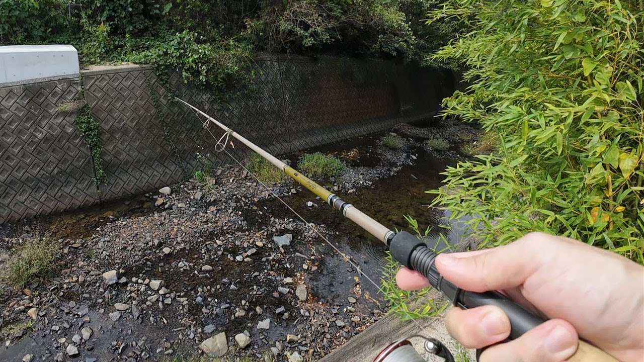 五島列島でバス釣り！