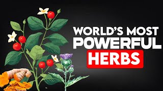 The Most Powerful Healing Herbs From Around the World (B 12)