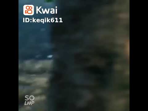 اصاله ويفوت العمر يا ع الجمال