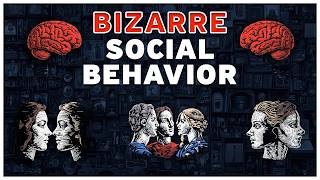 Every Bizarre Social Psychological Behavior Explained in Minutes