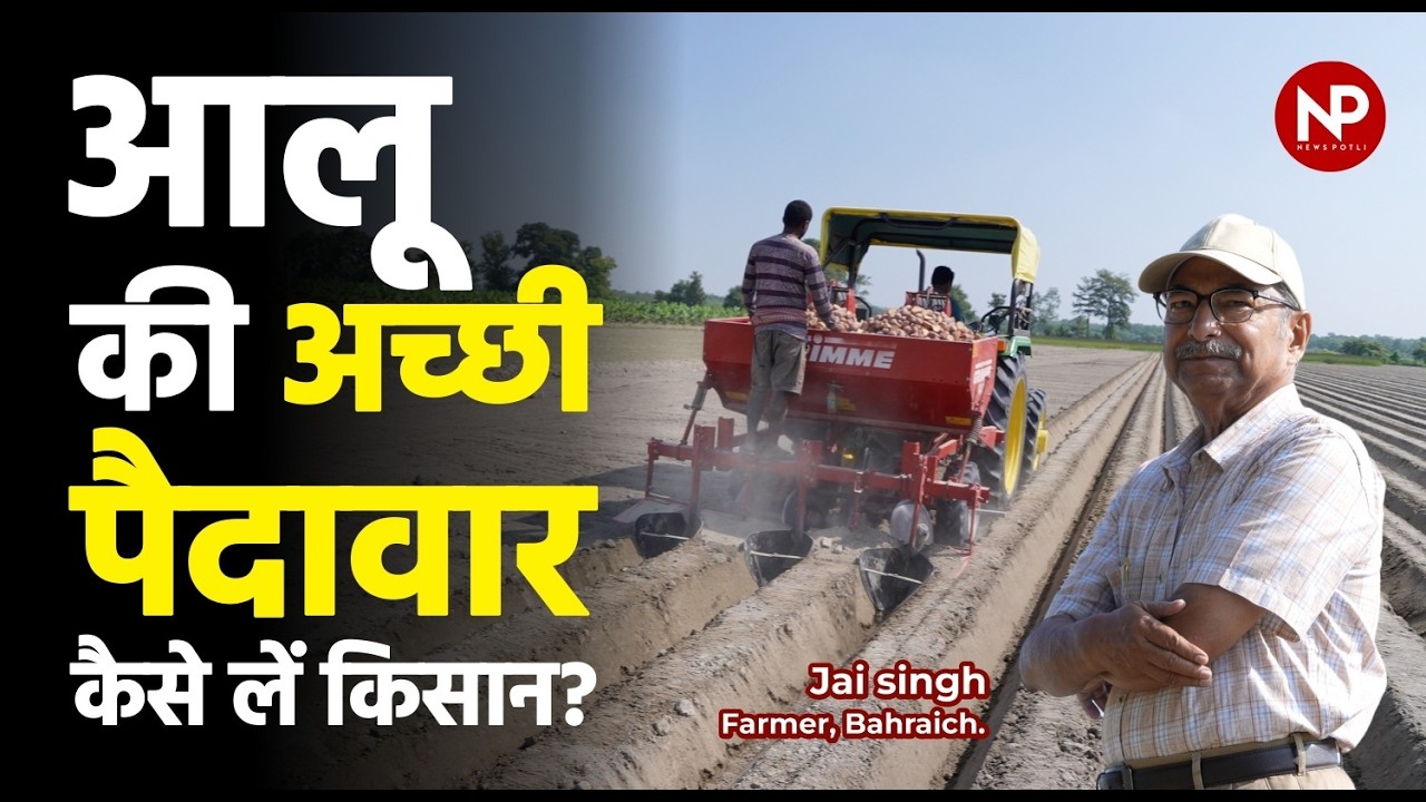 आलू की खेती: 40 से 50 gm का कंद, 2 से 3 आंखें, 1.5 लाख कल्ले = बम्पर उत्पादन || Potato farming