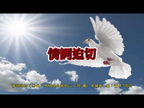 情詞迫切 原唱 ：余佩珠（原曲：明明白白我的心）詞/國：余佩珠