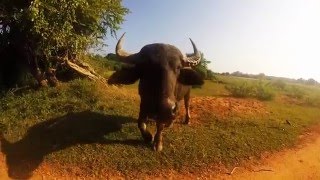GoPro Sri Lanka Vol 3 - Deniz Toprak & Koray Elibol
