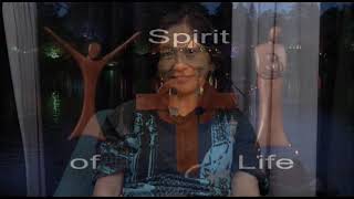 Spirit of Life Episode 664 - John Hendricks