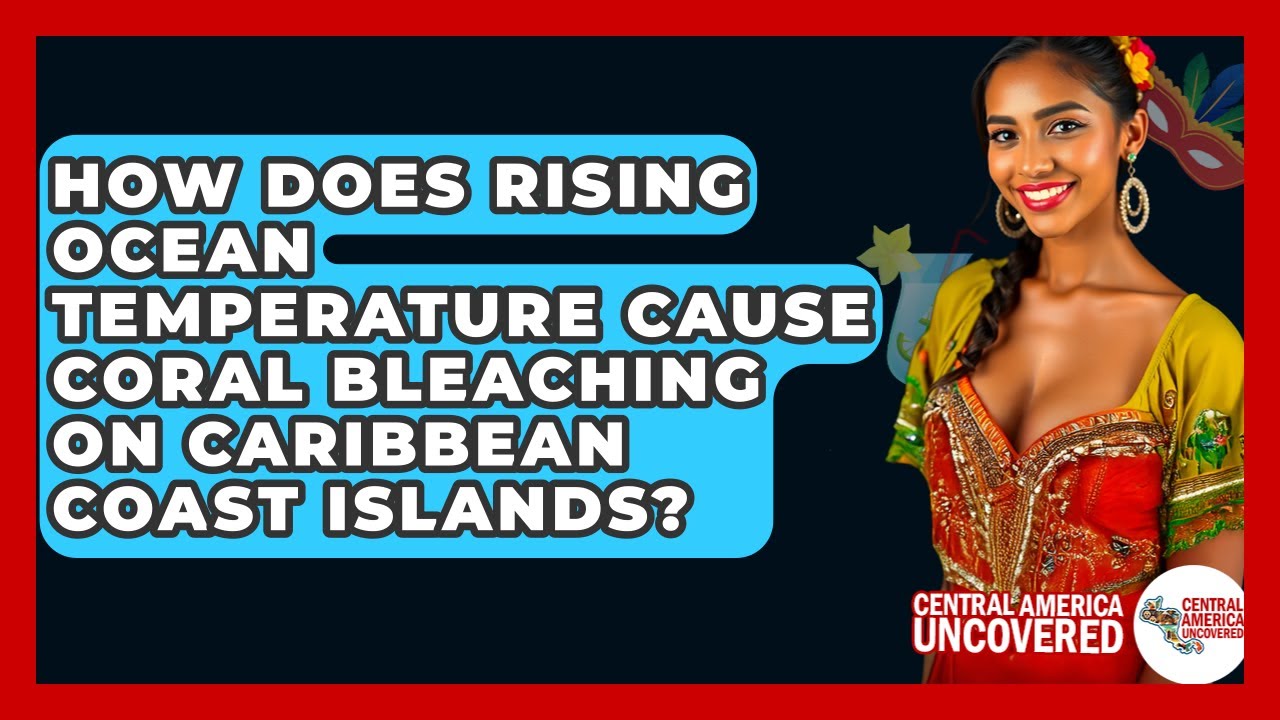 How Does Rising Ocean Temperature Cause Coral Bleaching On Caribbean Coast Islands?