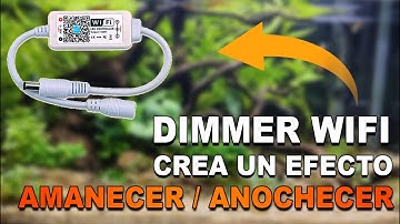 Dimmer Wifi Para Pantallas LED | Efecto Amanecer Anochecer Acuario | Instalación y Configuración