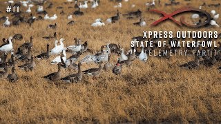XO: State of Waterfowl - Telemetry part 1 (Episode 10)