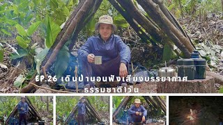 Ep.26 เดินป่านอนฟังเสียงบรรยากาศธรรมชาติ1วัน #trekking #เข้าป่า #เอาชีวิตรอด #เดินนป่า #ป่าเขา