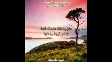 ما تيسر من سورة القصص || القارئ : سعود الشريم