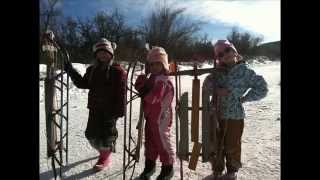 Runner Sledding 2011