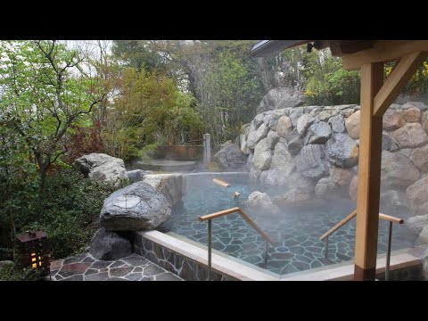 Top 10 Onsen Hotels & Ryokans in Arima Onsen, Kobe, Japan