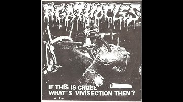 Agathocles - The Accident // 05 - If This Is Cruel What