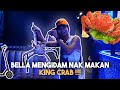 Suprise king crab rm2k dekat bella  mengidam terukk