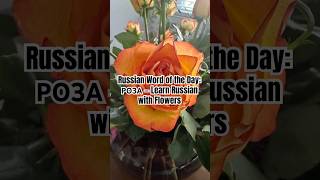 Russian Word of the Day: РОЗА — Learn Russian with Flowers