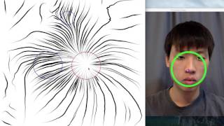Using Face Tracking for Computationally-Efficient Visualization for Large Vector Data