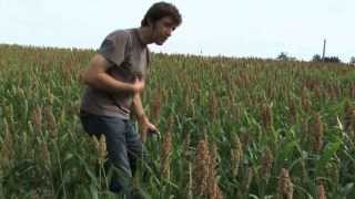 Produisons autrement : la démarche agroécologique de Pierre Pujos, agriculteur et lauréat des TAD