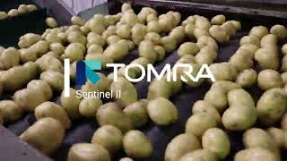 MacSer Finland Oy | TOMRA Sentinel 2  Pestyn perunan optinen lajittelu- Potato Optical Sorting