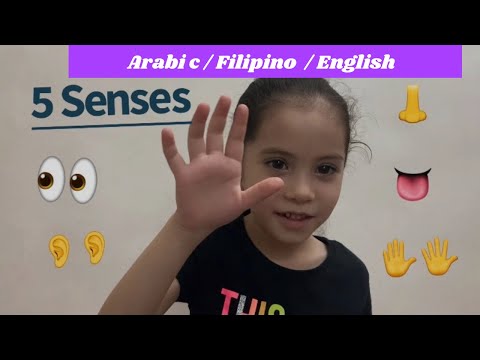 5 Senses In Arabic Filipino English الحواس الخمسة روضة البراءة 
