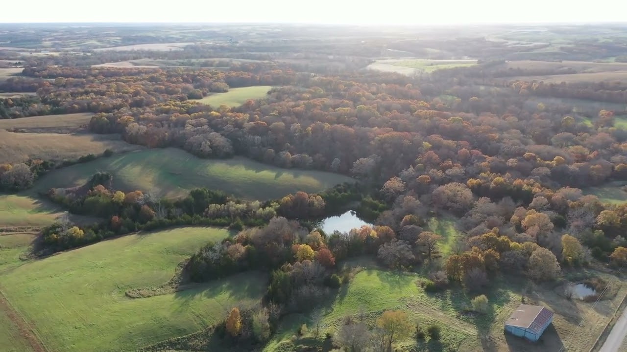 7913 - 40 Acres Hwy O Cainsville, MO